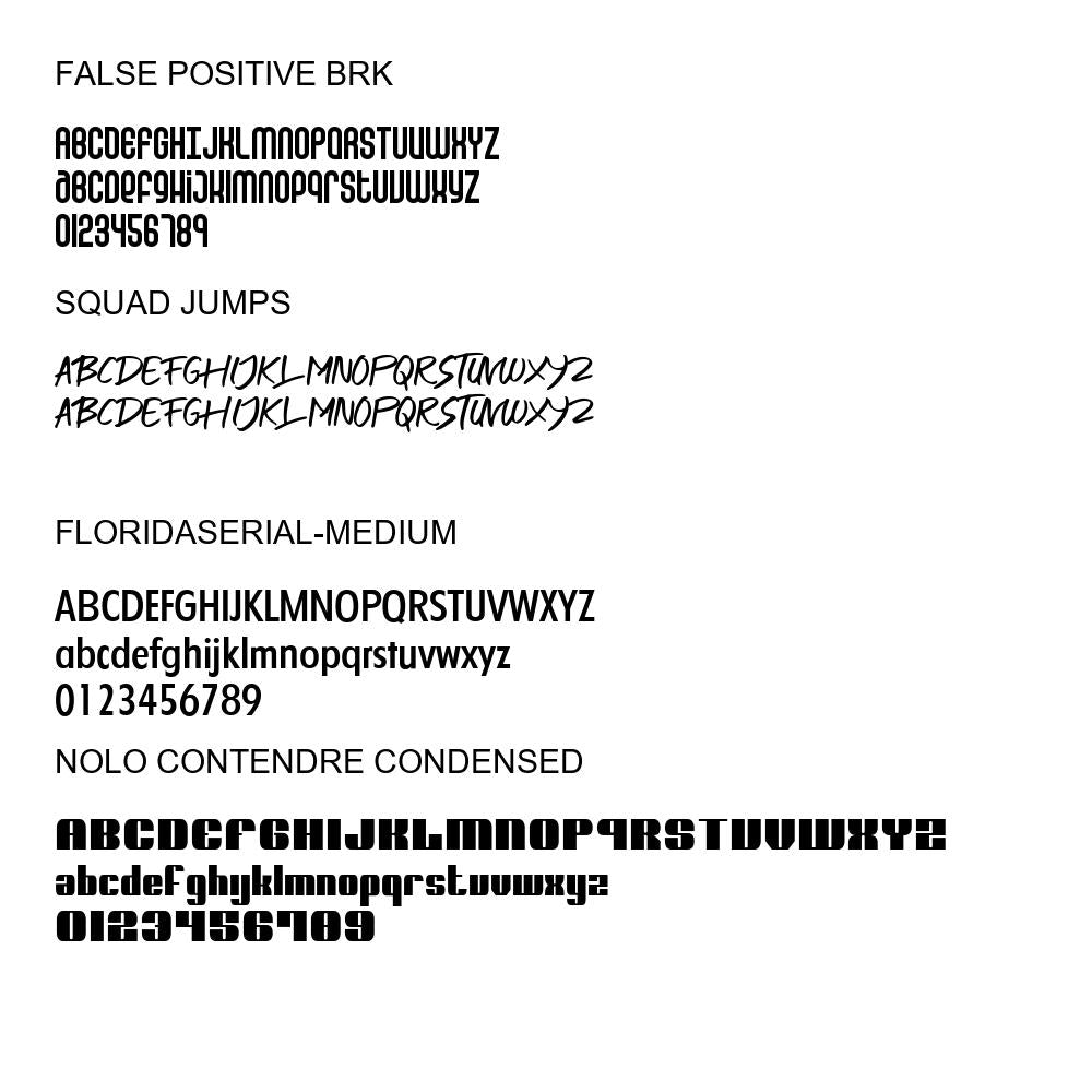 100 Premium Fonts Collection - Perfect for Designers and Creators V001