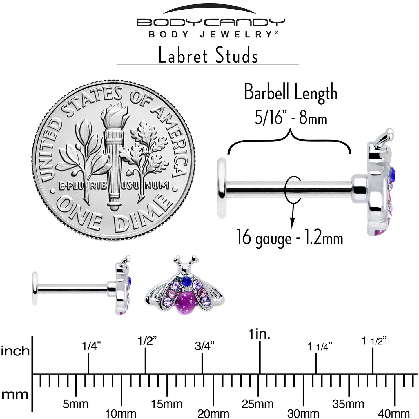 16G 5/16 Pink Blue Gem Beautiful Insect Labret Monroe Tragus