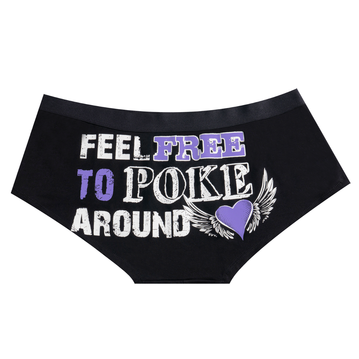 Feel Free To Poke Around Brief Biker Panty