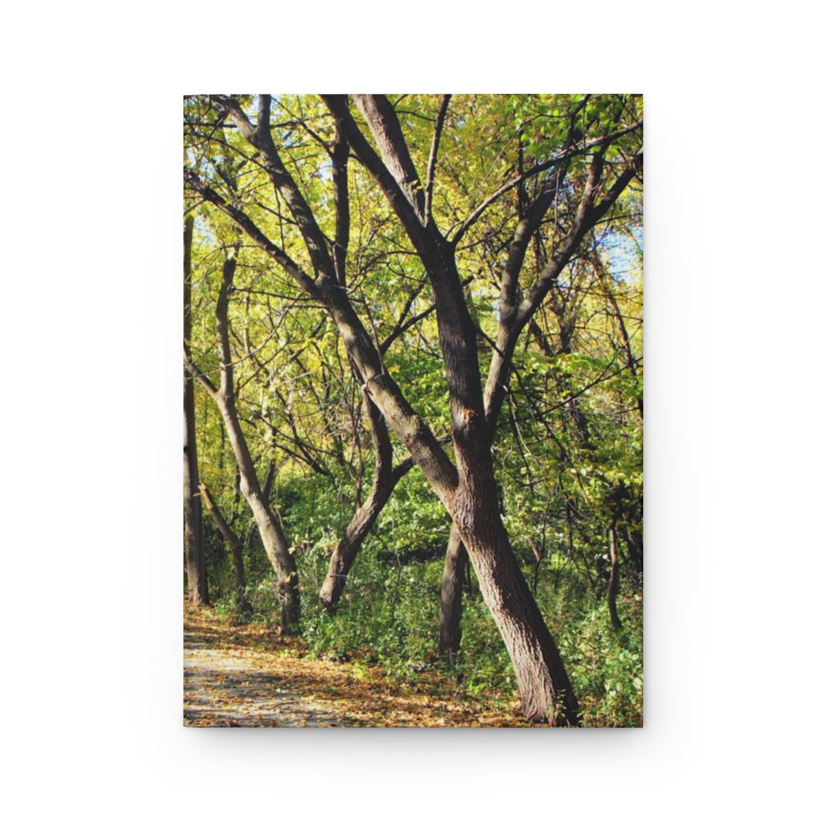 Whispering Woods Hardcover Journal Matte