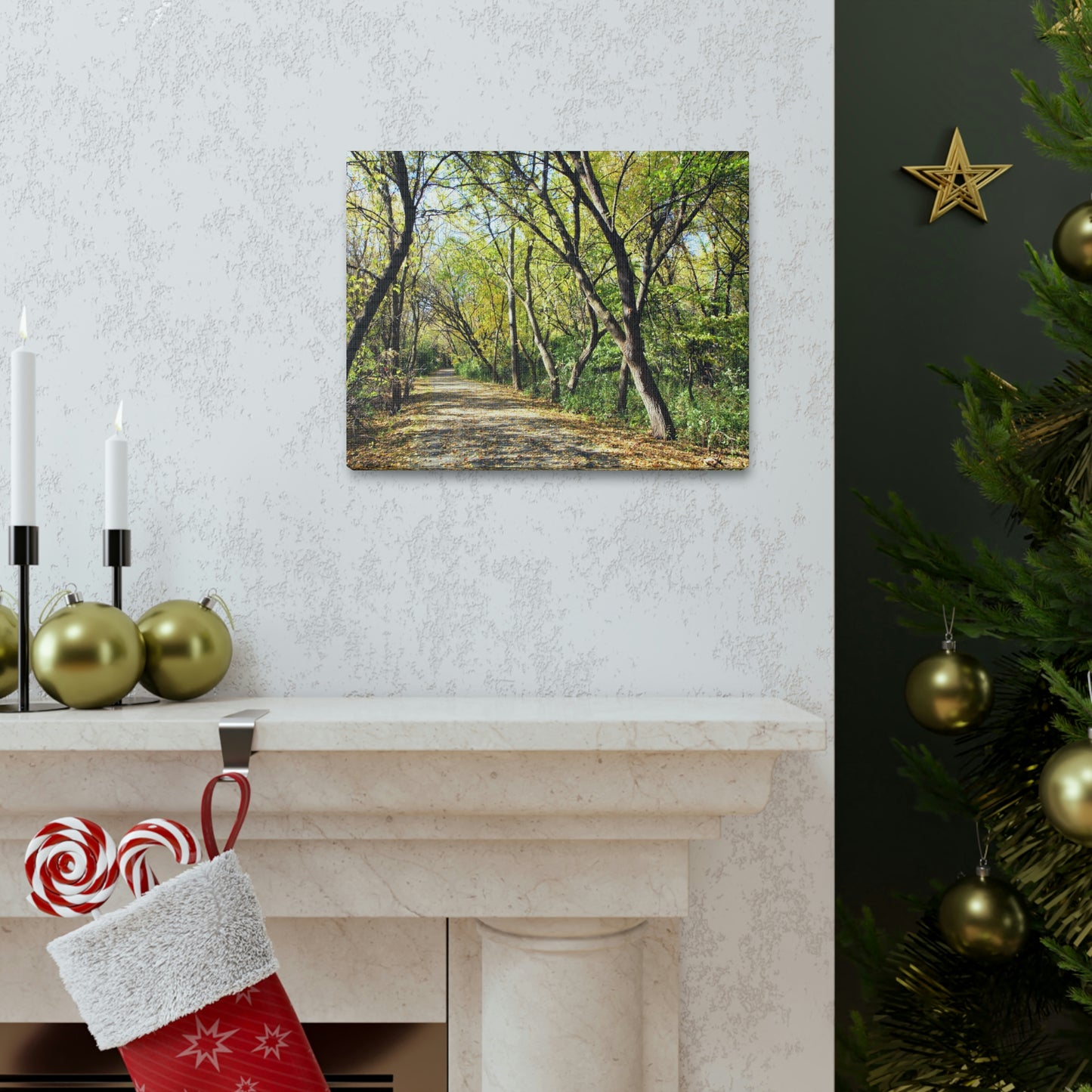 On The Beaten Path Canvas Gallery Wrap