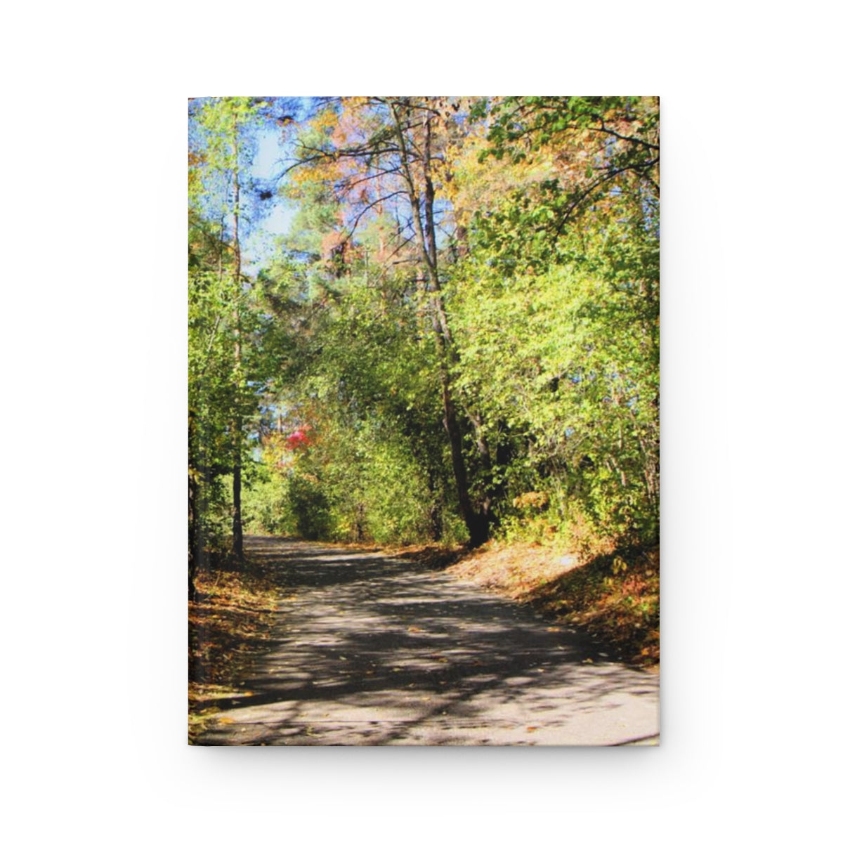 Into The Woods Hardcover Journal Matte