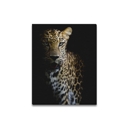 Into the Wild Collection Framed Canvas Print