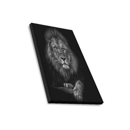 Into the Wild Collection Framed Canvas Print