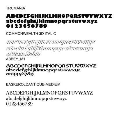 100 Premium Fonts Collection - Perfect for Designers and Creators V001