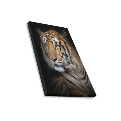 Into the Wild Collection Framed Canvas Print