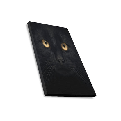 Black Kitty Framed Canvas Print