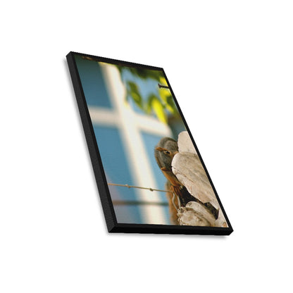 Squirrel Framed Canvas Print