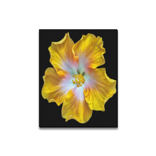 Floral Framed Canvas Print