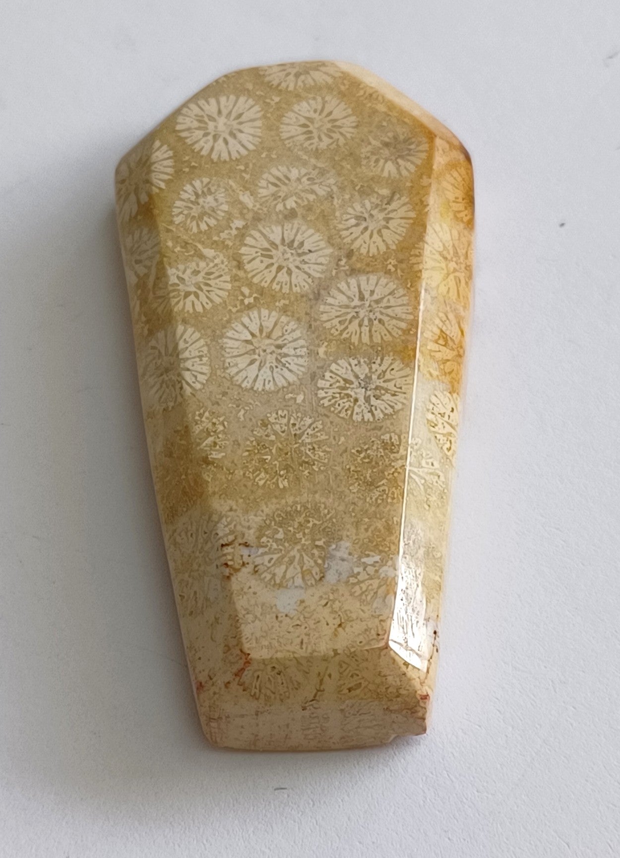 Coffin Shape Crystals