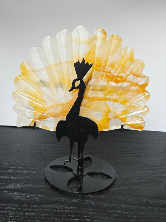 Ferruginous Quartz Peacock