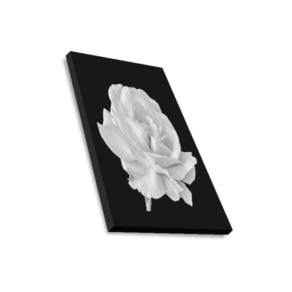 White Rose Framed Canvas Print