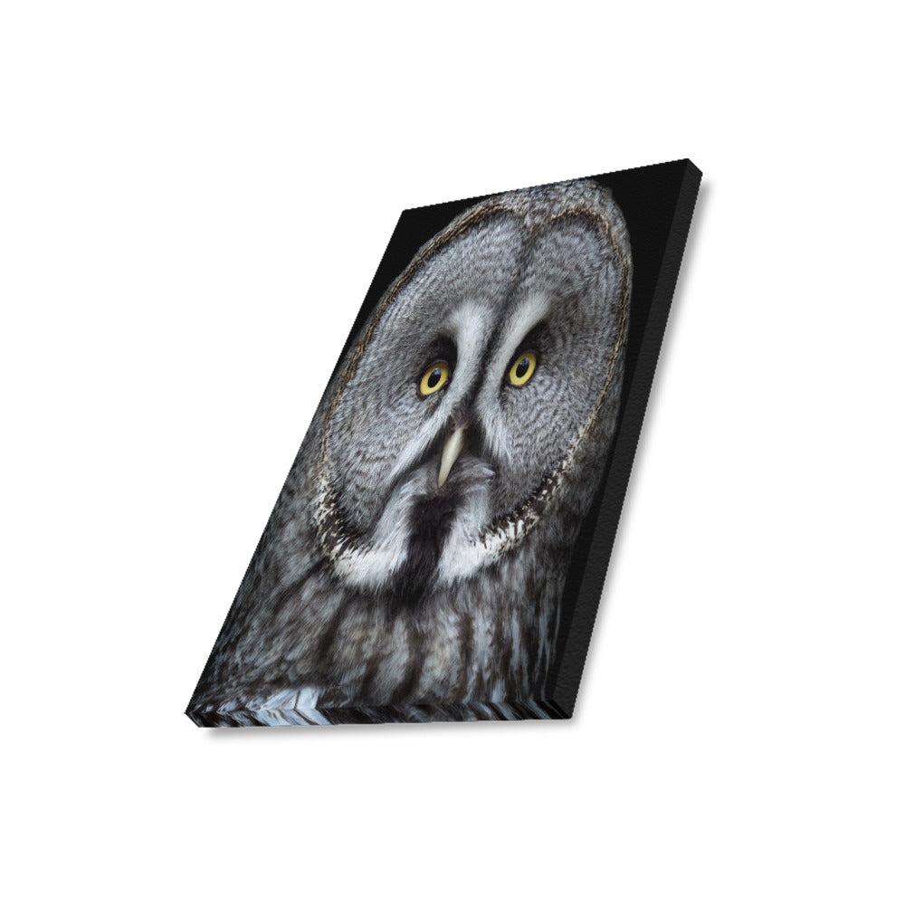 Owl Framed Canvas Print