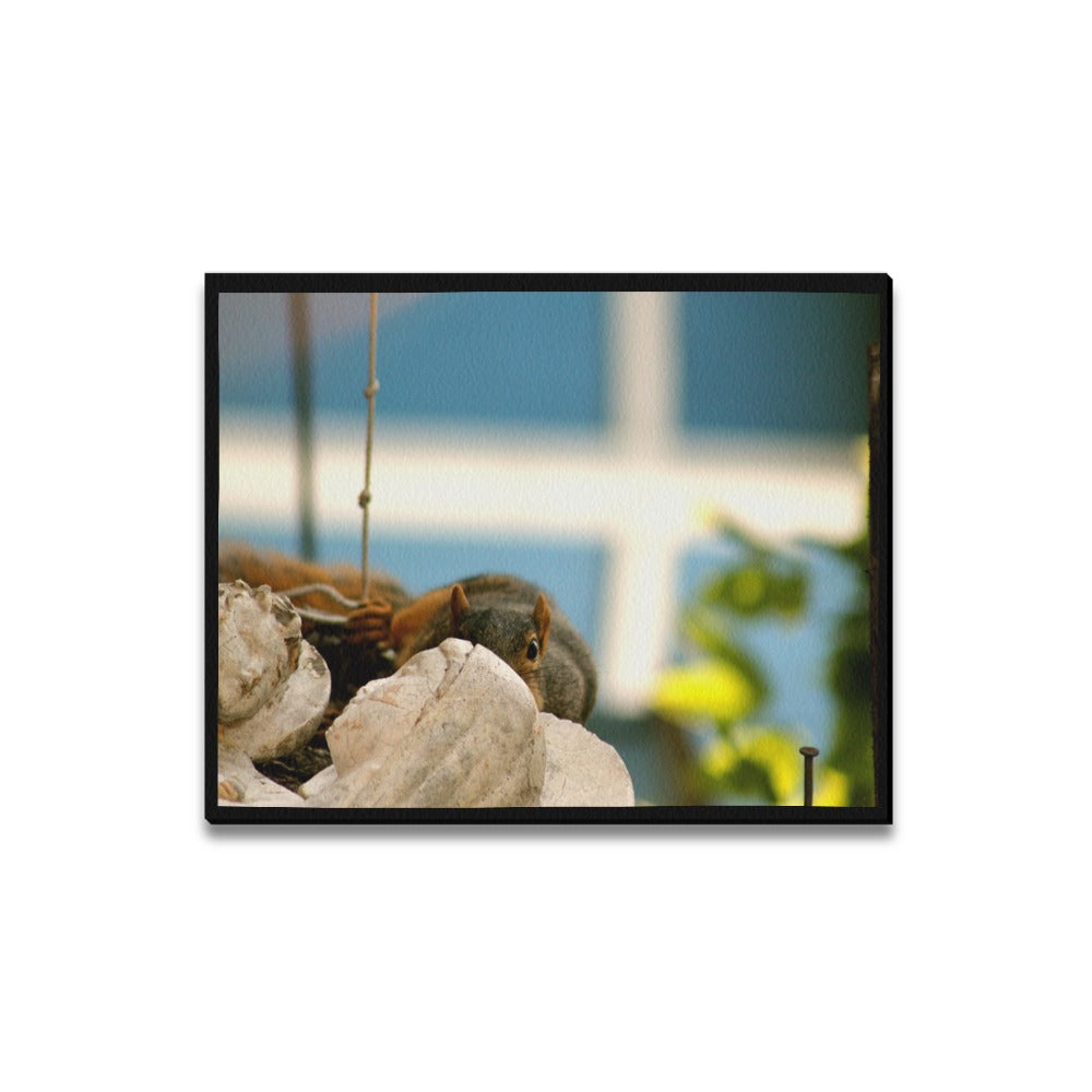 Squirrel Framed Canvas Print