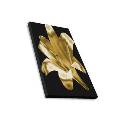 Black and Gold Collection Framed Canvas Print