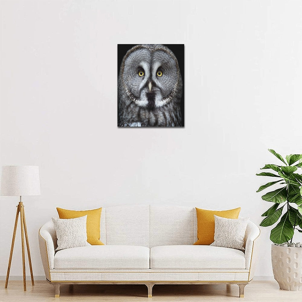 Owl Framed Canvas Print