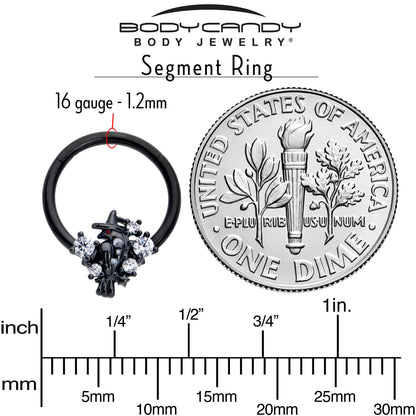 16G 3/8 Clear CZ Gem Black Raven Witch Hinged Segment Ring