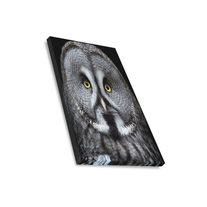 Owl Framed Canvas Print