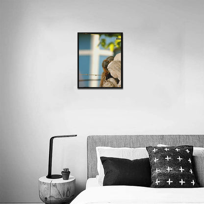 Squirrel Framed Canvas Print