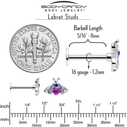 16G 5/16 Pink Blue Gem Beautiful Insect Labret Monroe Tragus