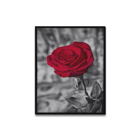 Red Collection Framed Canvas Print