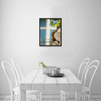 Squirrel Framed Canvas Print