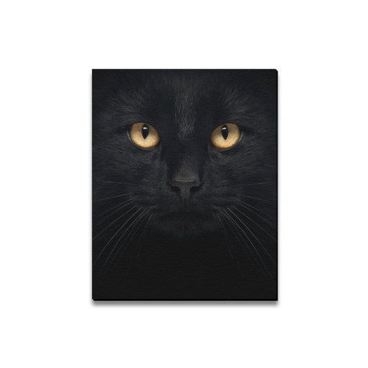 Black Kitty Framed Canvas Print