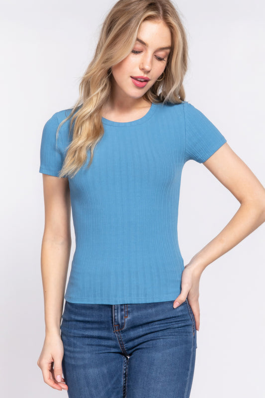 Blue Short Sleeve Crew Neck Variegated Rib Knit Top