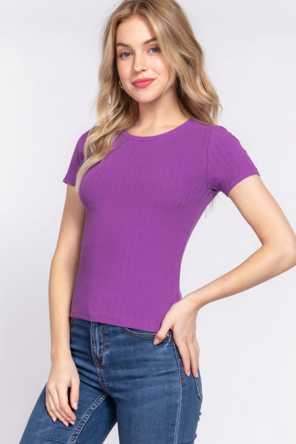 Purple Short Sleeve Crew Neck Variegated Rib Knit Top