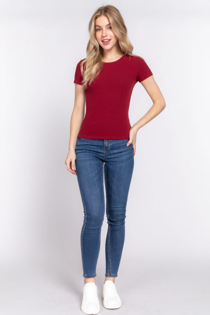 Wine Short Sleeve Crew Neck Variegated Rib Knit Top