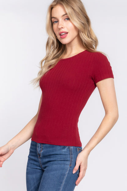 Wine Short Sleeve Crew Neck Variegated Rib Knit Top