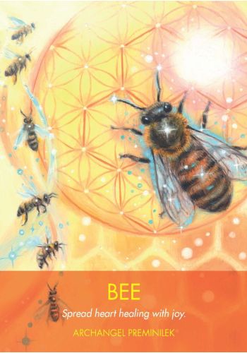 Archangel Animal Oracle Cards and Guidebook