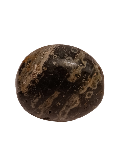 Ocean Jasper Palm Stone