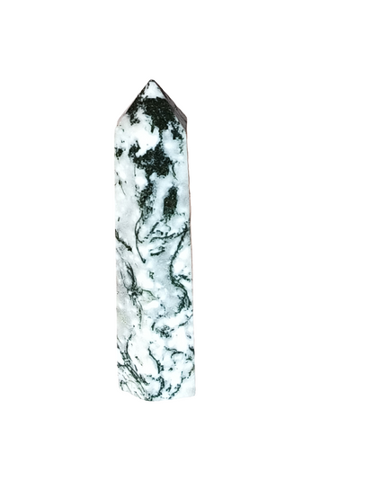 Tree Agate Point