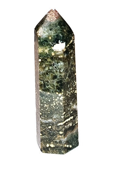 Ocean Jasper Point