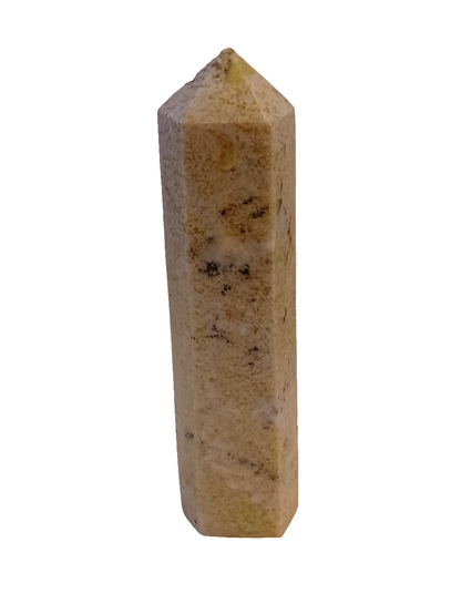Dendritic Agate Point