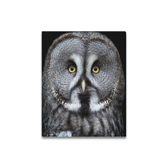 Owl Framed Canvas Print