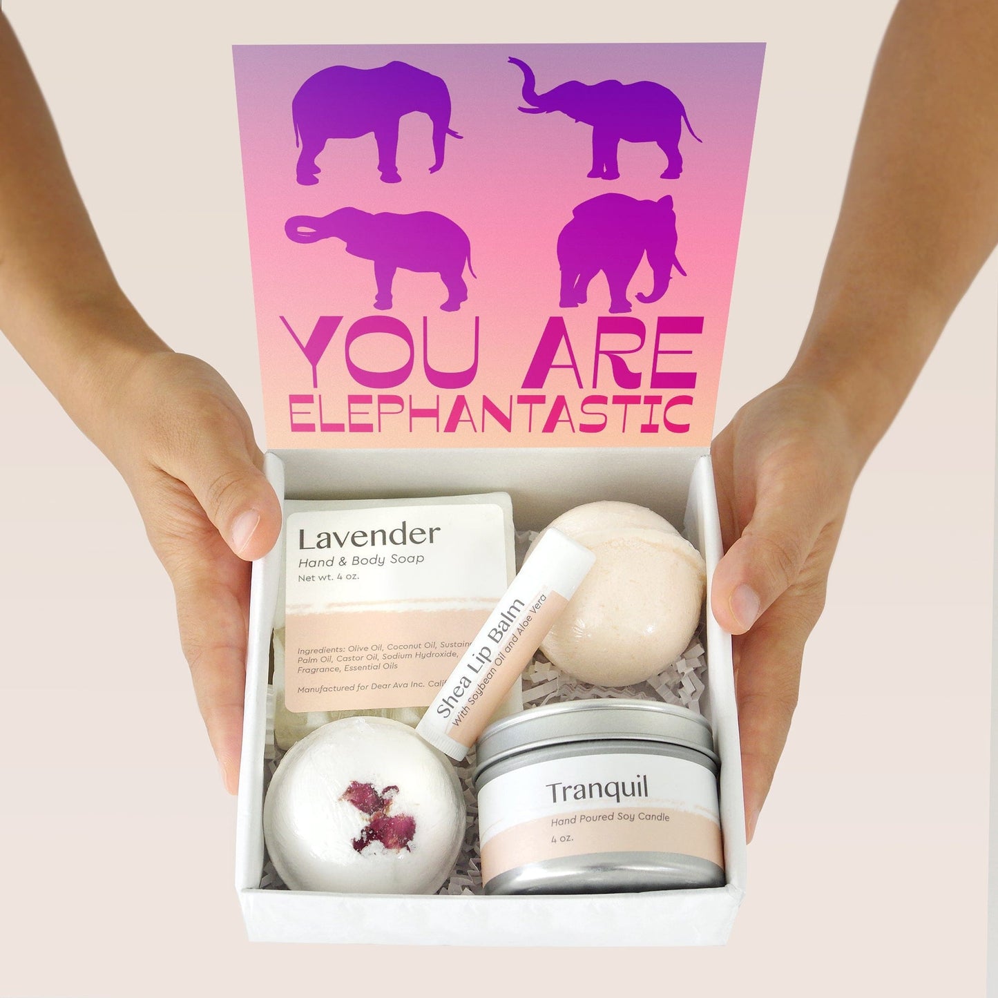Elephant Lover  Gift Box Set