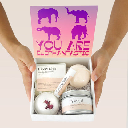 Elephant Lover  Gift Box Set
