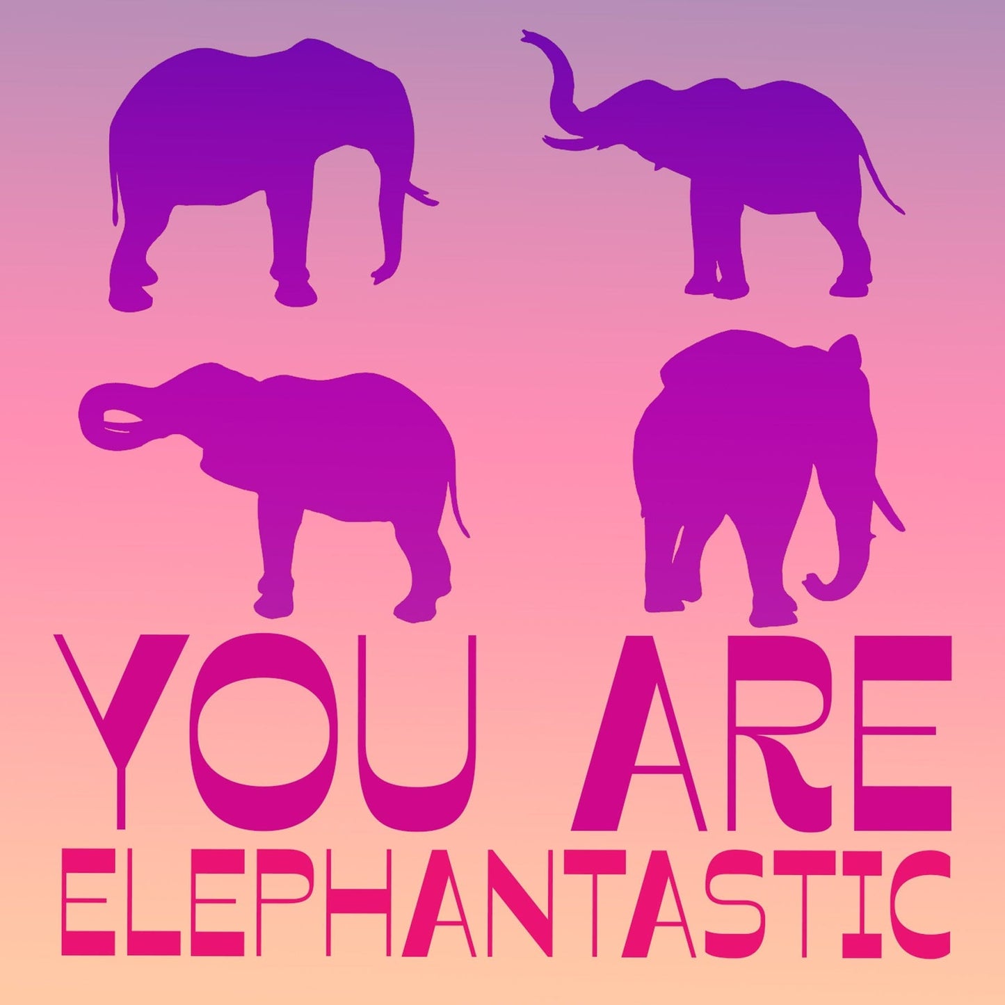 Elephant Lover  Gift Box Set