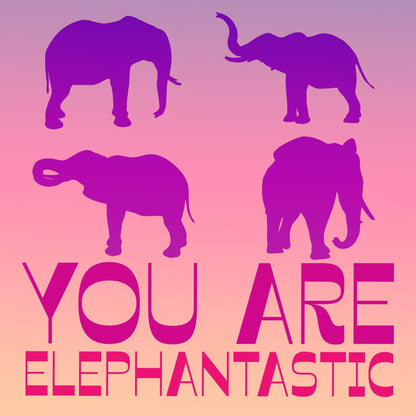 Elephant Lover  Gift Box Set