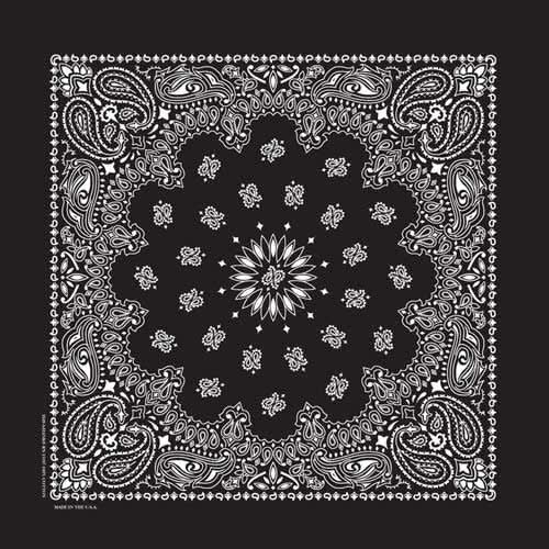 BD253 Bandana Paisley Black