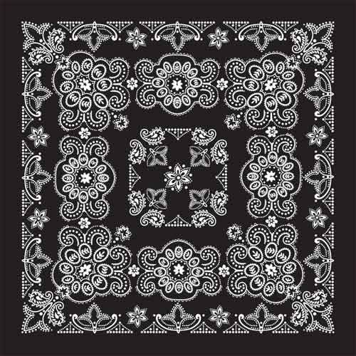 BD258 Bandana Texas Paisley Black [27" x27"]