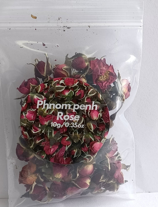 Phnom Penh Rose
