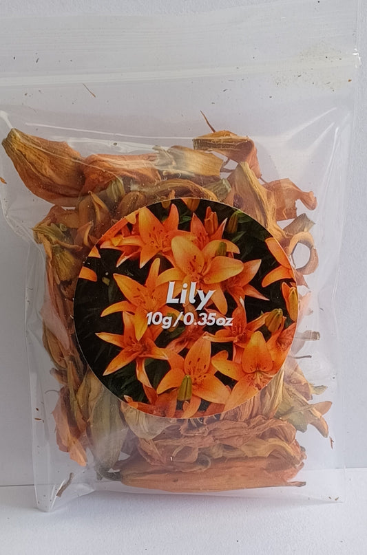 Lily