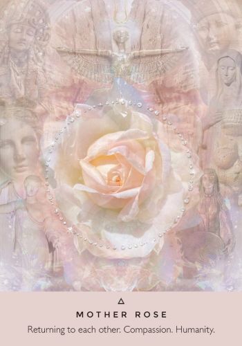 The Rose Oracle Cards and Guidebook