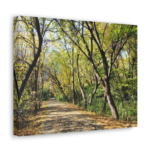 On The Beaten Path Canvas Gallery Wrap