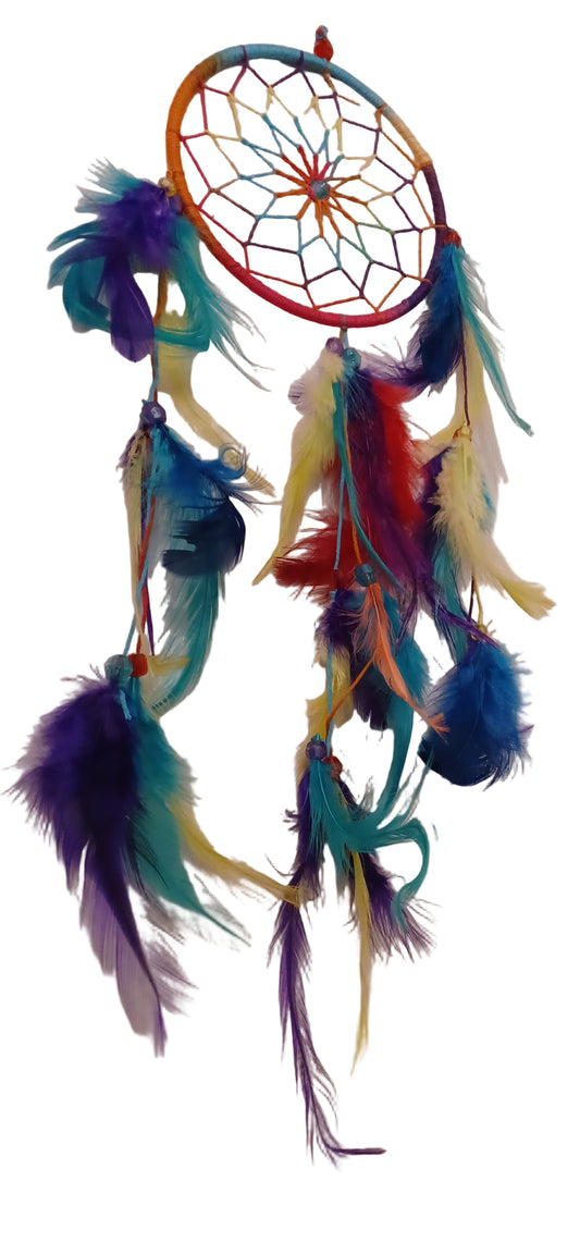 Chakra Color Dreamcatcher