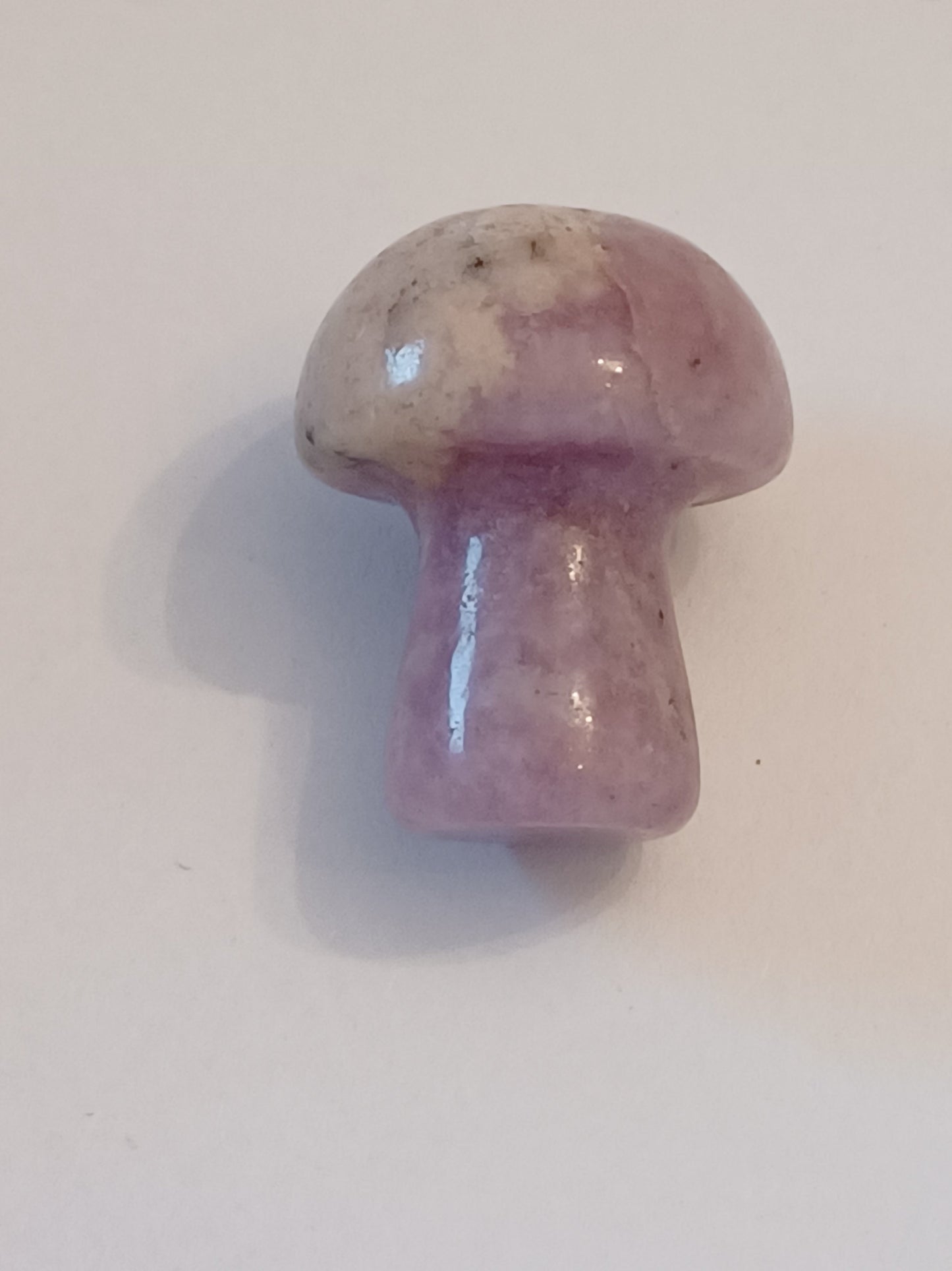 Little Mushrooms (1 Piece)