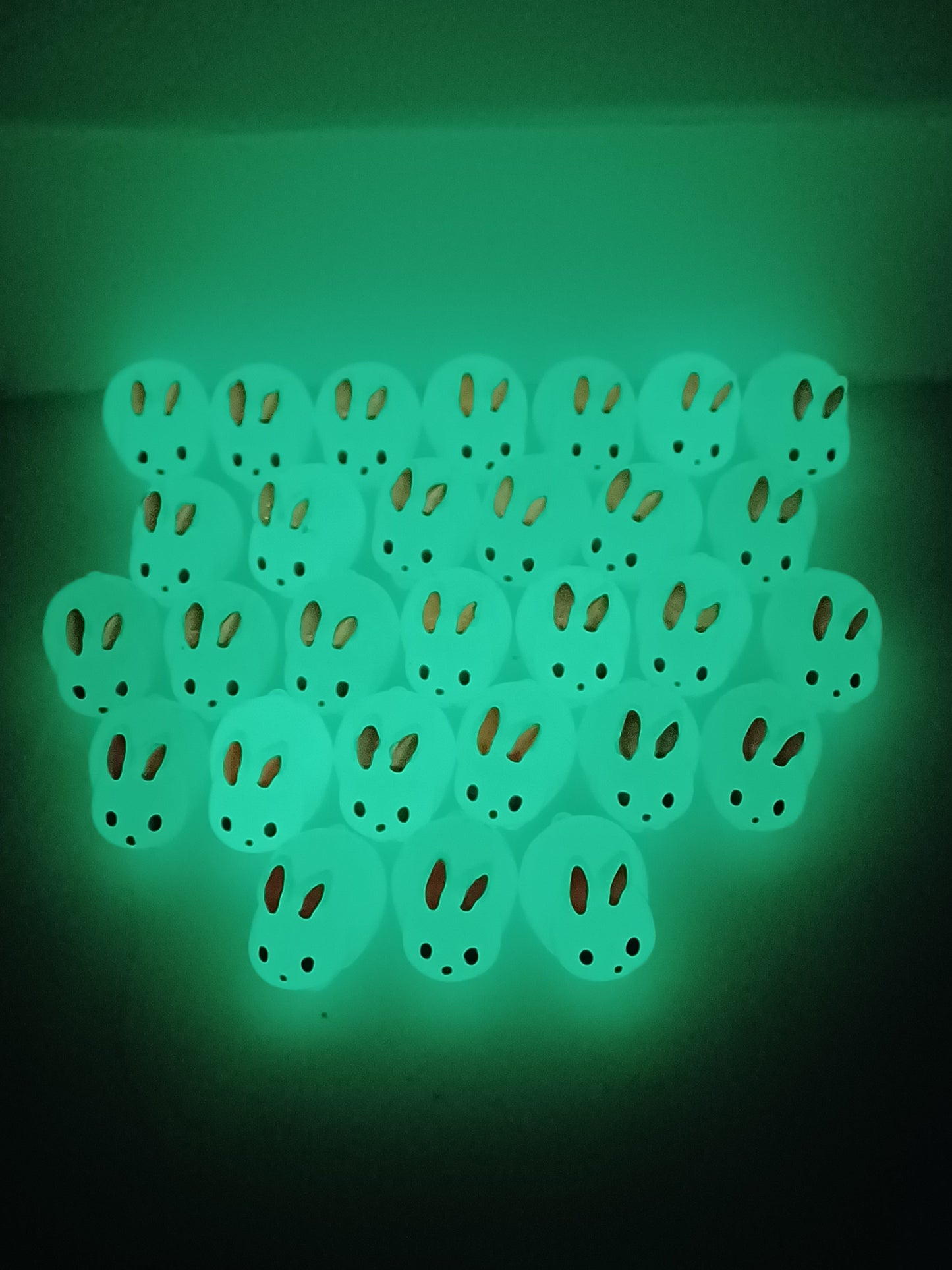 Bunnies - Glow In The Dark